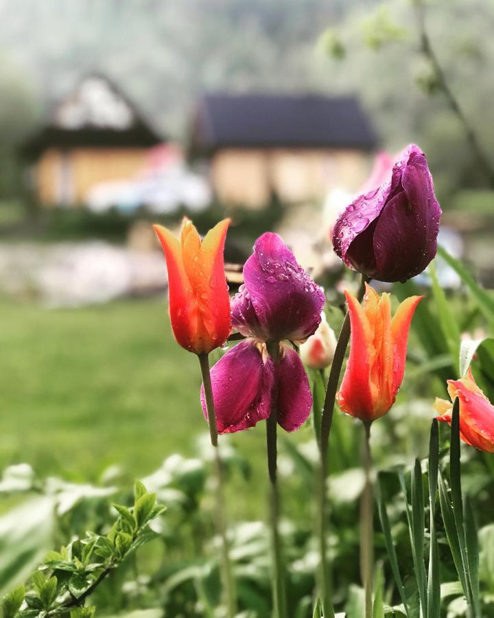 Mala Gorczanska Chatka Ochotnica Dolna 外观 照片